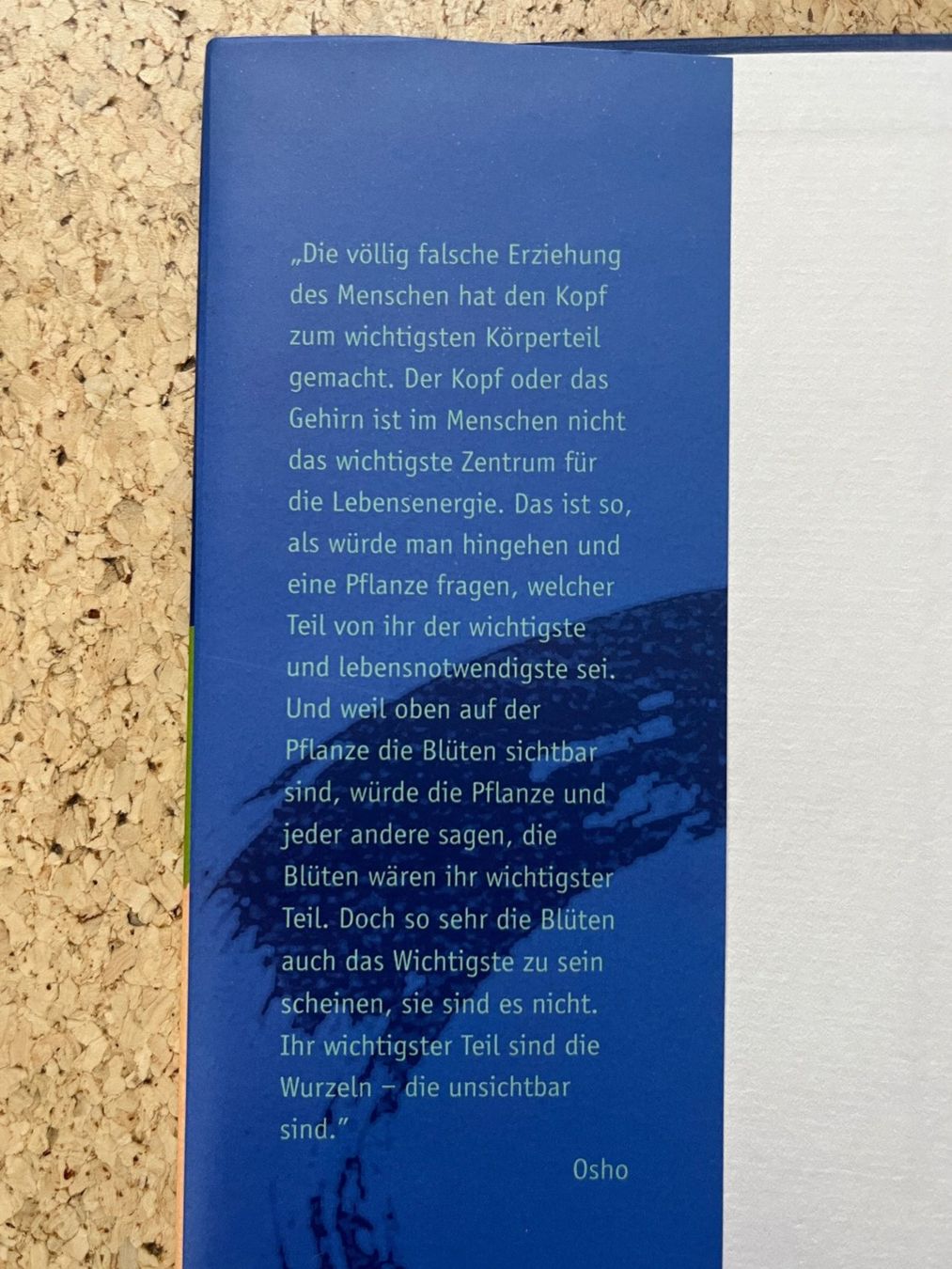 Libri: Buch gebunden "Das Hara Buch", Osho Verlag – Usato da Grosswangen venduto da Vita500 3