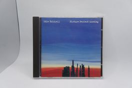 CD Edie Brickell ‎– Picture Perfect Morning