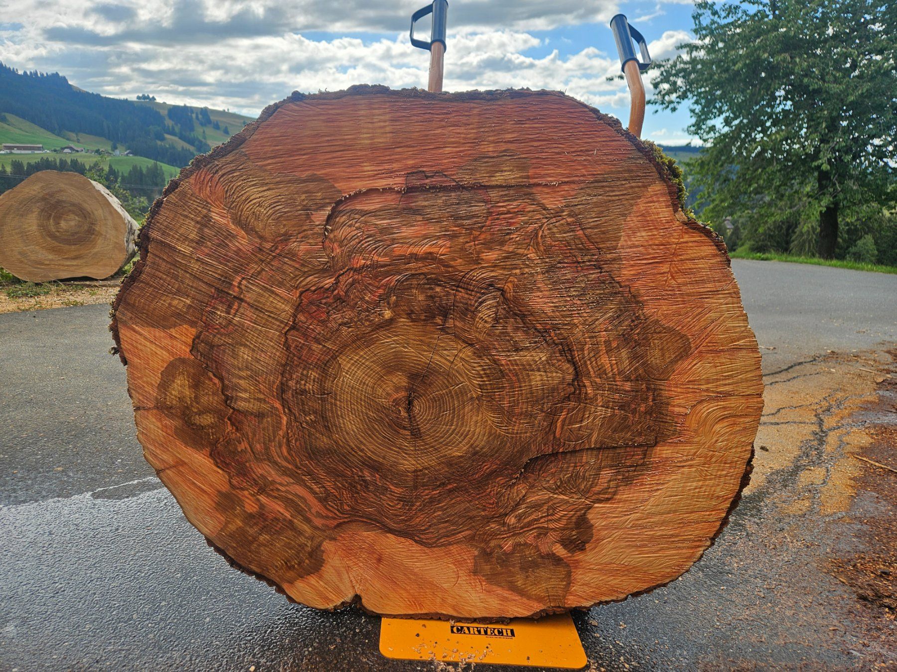Articles en bois: Eschen Holz Baumscheibe – Neuf (Voir description) à Schangnau par egli6.2 2