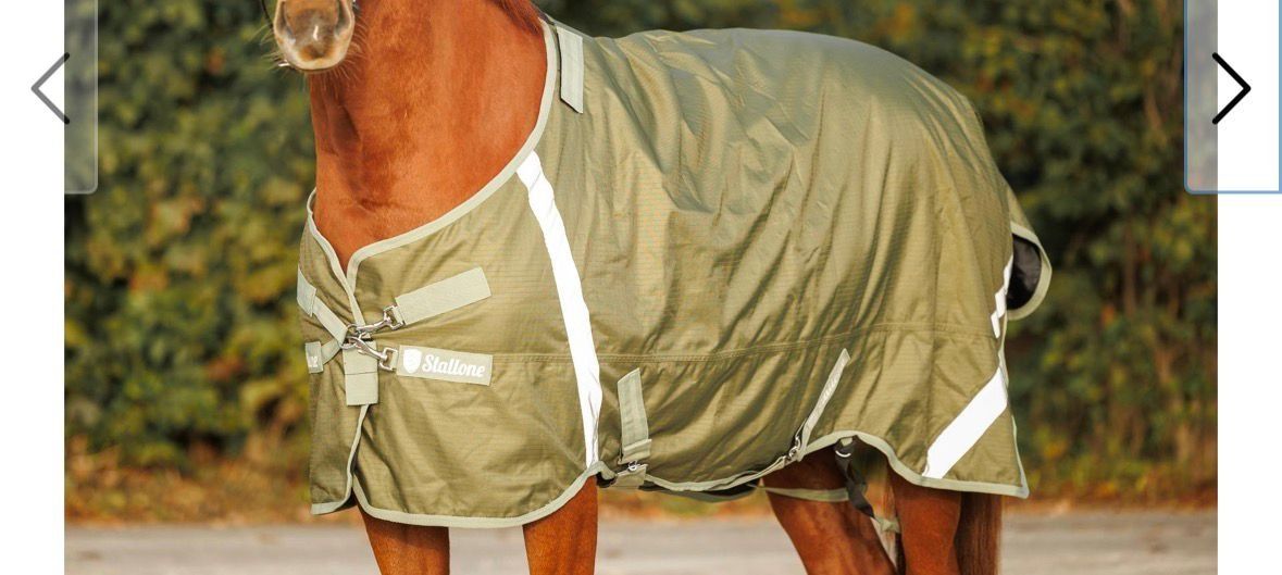 Coperte: Stallone Weidedecke Outdoor Guard 100gr, BLAU – Usato da Brig venduto da Goodnightwoman 3