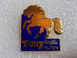 Ansteckpin 246: Pony Stübli Malters