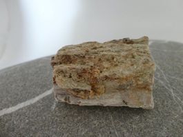 Versteinertes-Holz roh Heilstein