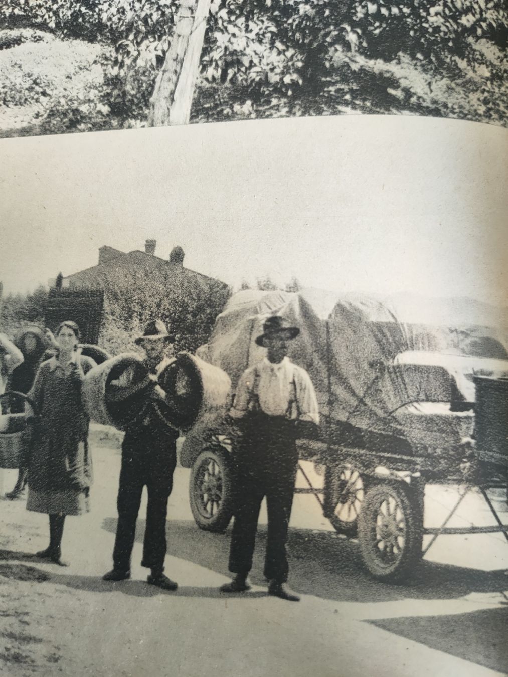 Libri: Seltenes Buch: Schädlingsbekämpfung im Obstbau, antik 1940 – Usato da Gipf-Oberfrick venduto da minini 8