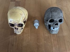 ALLES MUSS WEG!!! 3Stk Totenkopf