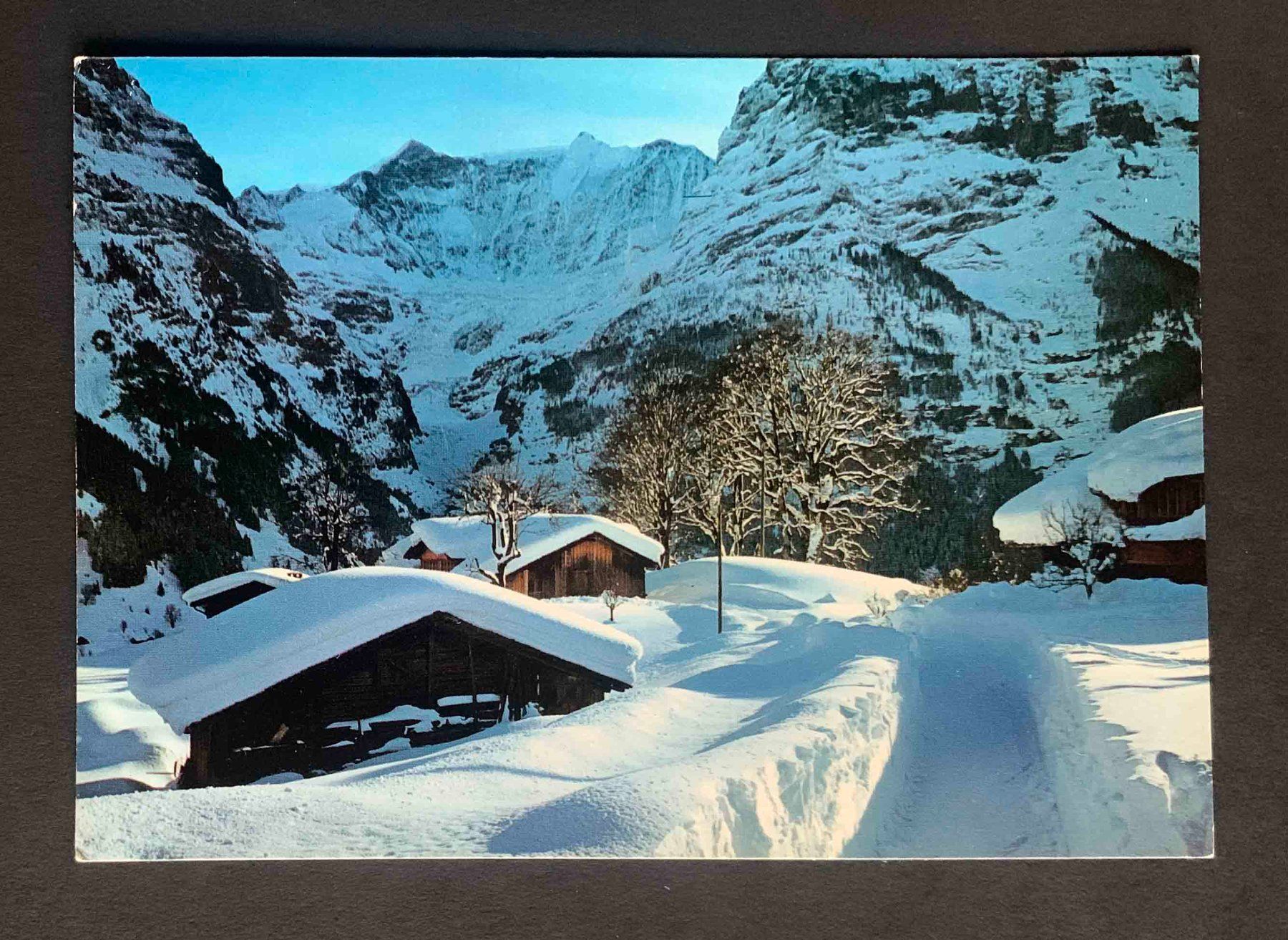 Cartoline postali: AK Grindelwald Fiescherhörner – Usato da Goldau venduto da artelier1