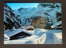 AK Grindelwald Fiescherhörner