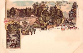 GRUSS vom WILDPARK LANGNAU ZH - Litho 1899