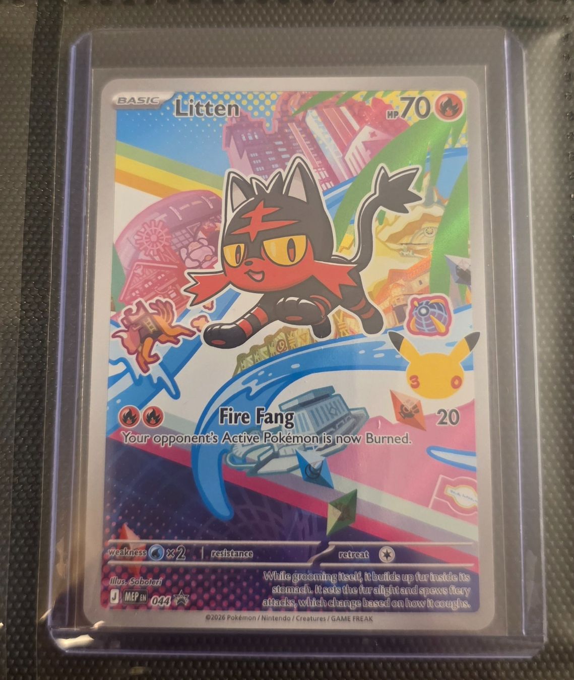 Pokémon Carte collezionabili: Pokemon -  First Partner Serie 1 / EN – Nuovo (secondo la descrizione) da Kreuzlingen venduto da Room_Shambles 2