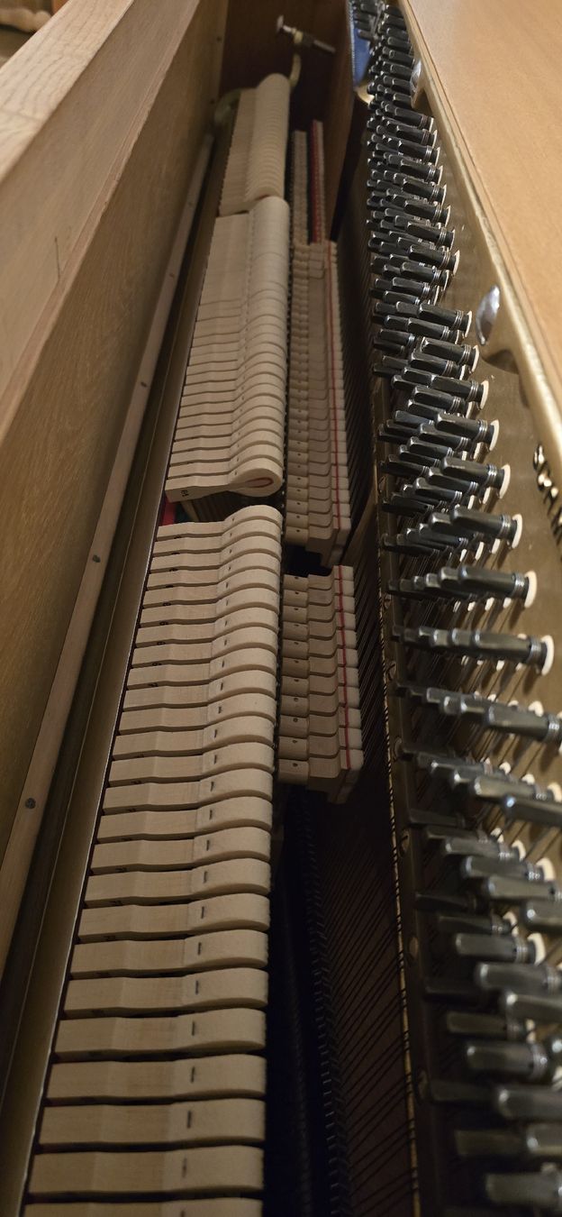 Schmidt-Flohr Strumenti musicali: Klavier Schmidt - Flohr – Nuovo (secondo la descrizione) da Zürich venduto da Reni8048 5