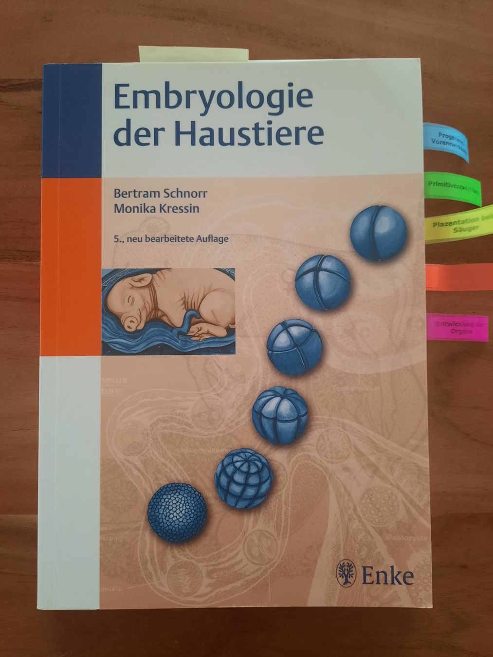 Libri: Embryologie der Haustiere – Usato da Schenkon venduto da Glenmora