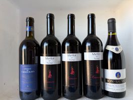Wein-Set: 5 Flaschen Rotwein, Merlot, Bordeaux, AOC