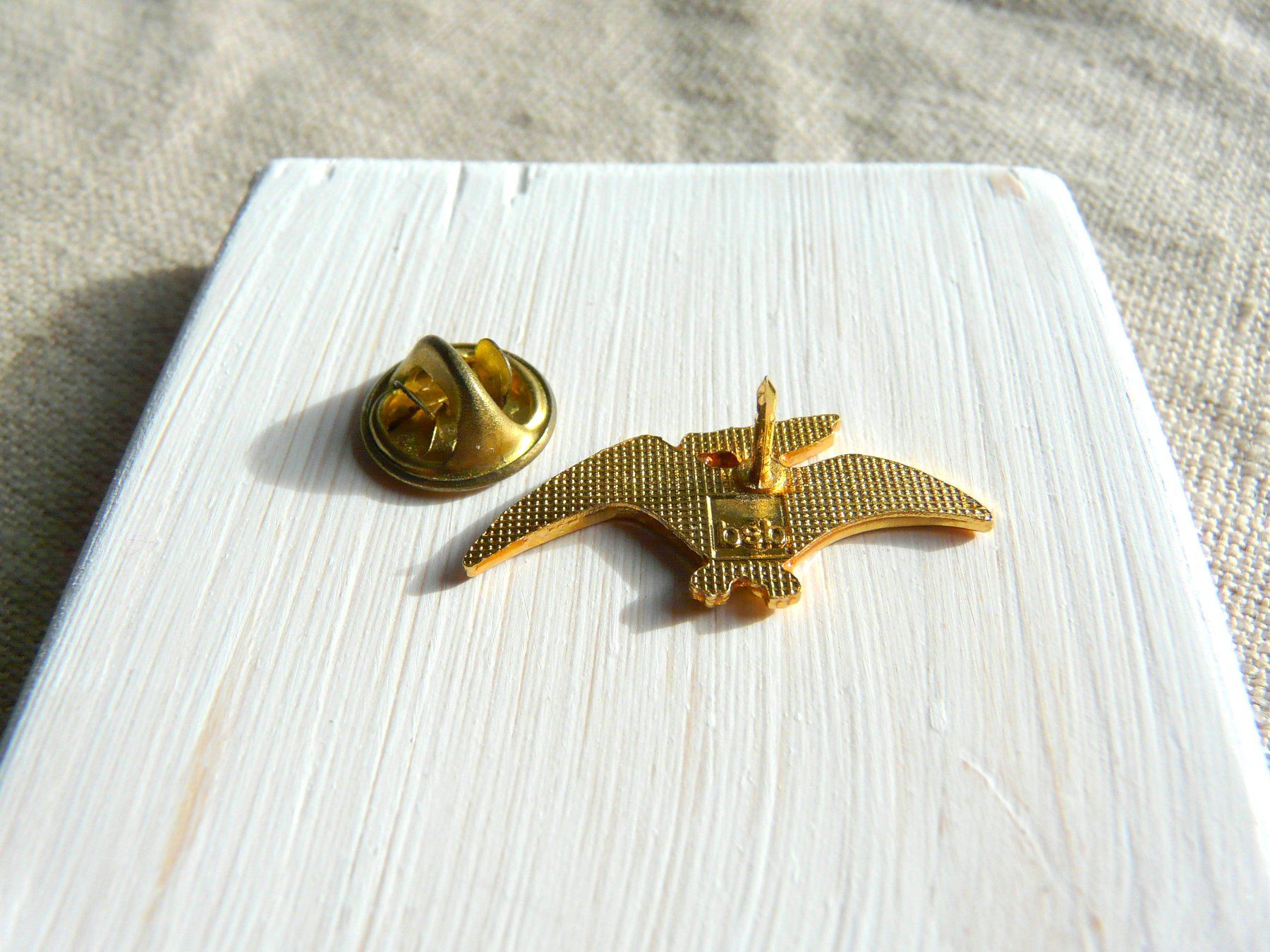 Plaketten & Abzeichen: • Pterodactylus Pterosauria     Versand möglich  Pin A1.40 – Gebraucht aus Pully von websurfer1 3