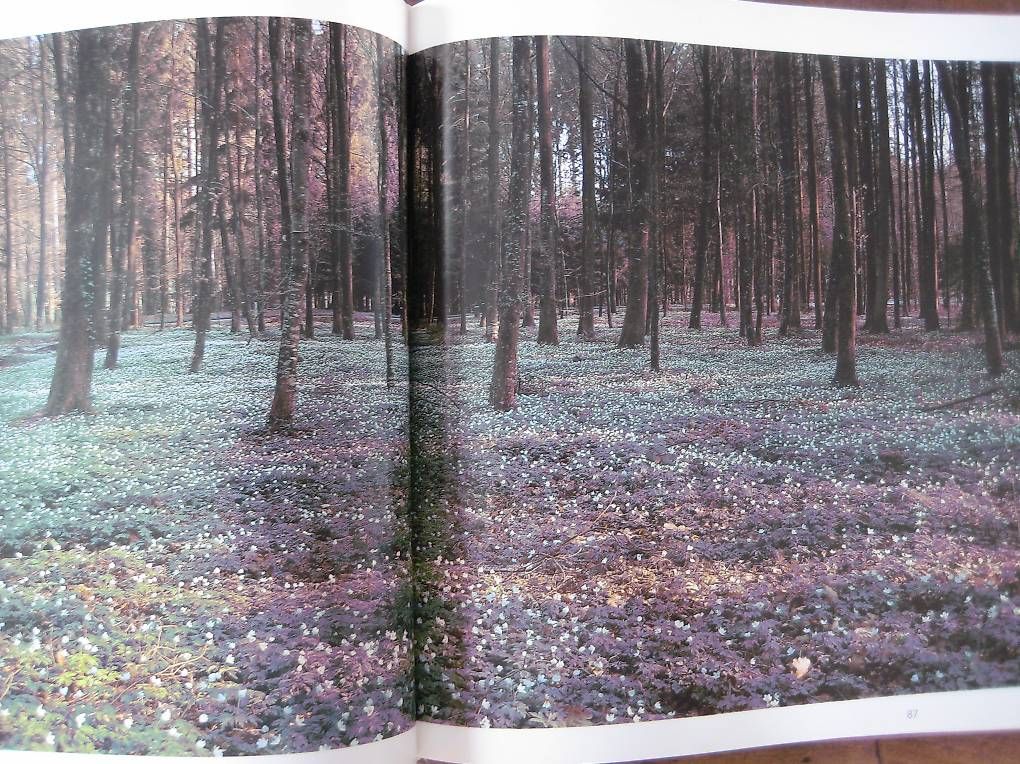 Libri: Landschaft Oberaargau – Usato da Madiswil venduto da Mamaro 3