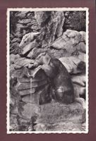 CHÂTEAU D'OEX - Marmotte de la fontaine - 1965