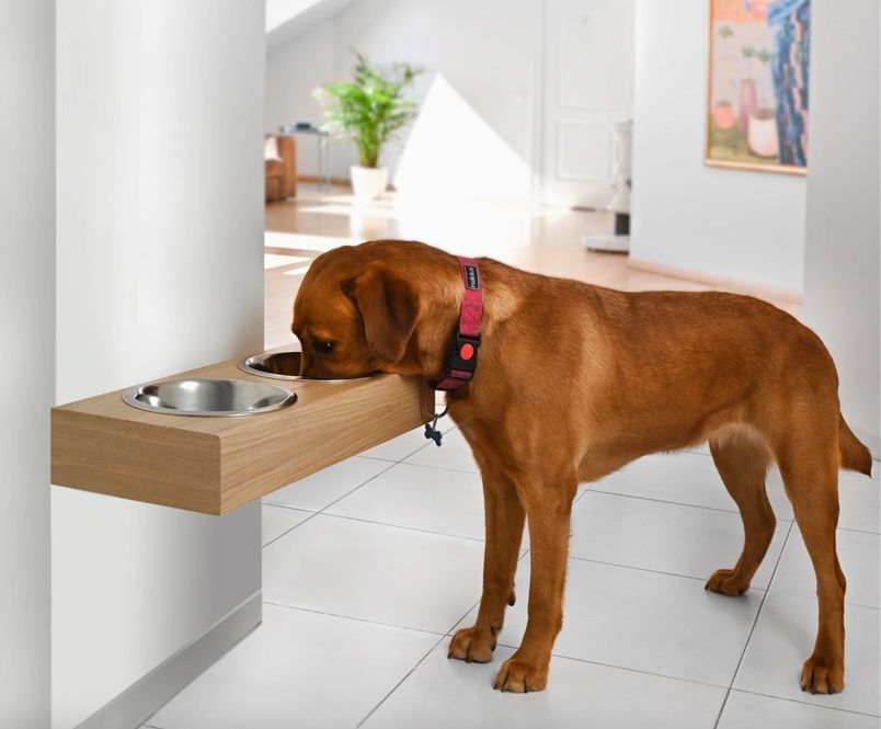 Futternapf fr Hunde Wandmontage (Neu und originalverpackt) in Sirnach fr  CHF 98  mit Lieferung auf Ricardo kaufen