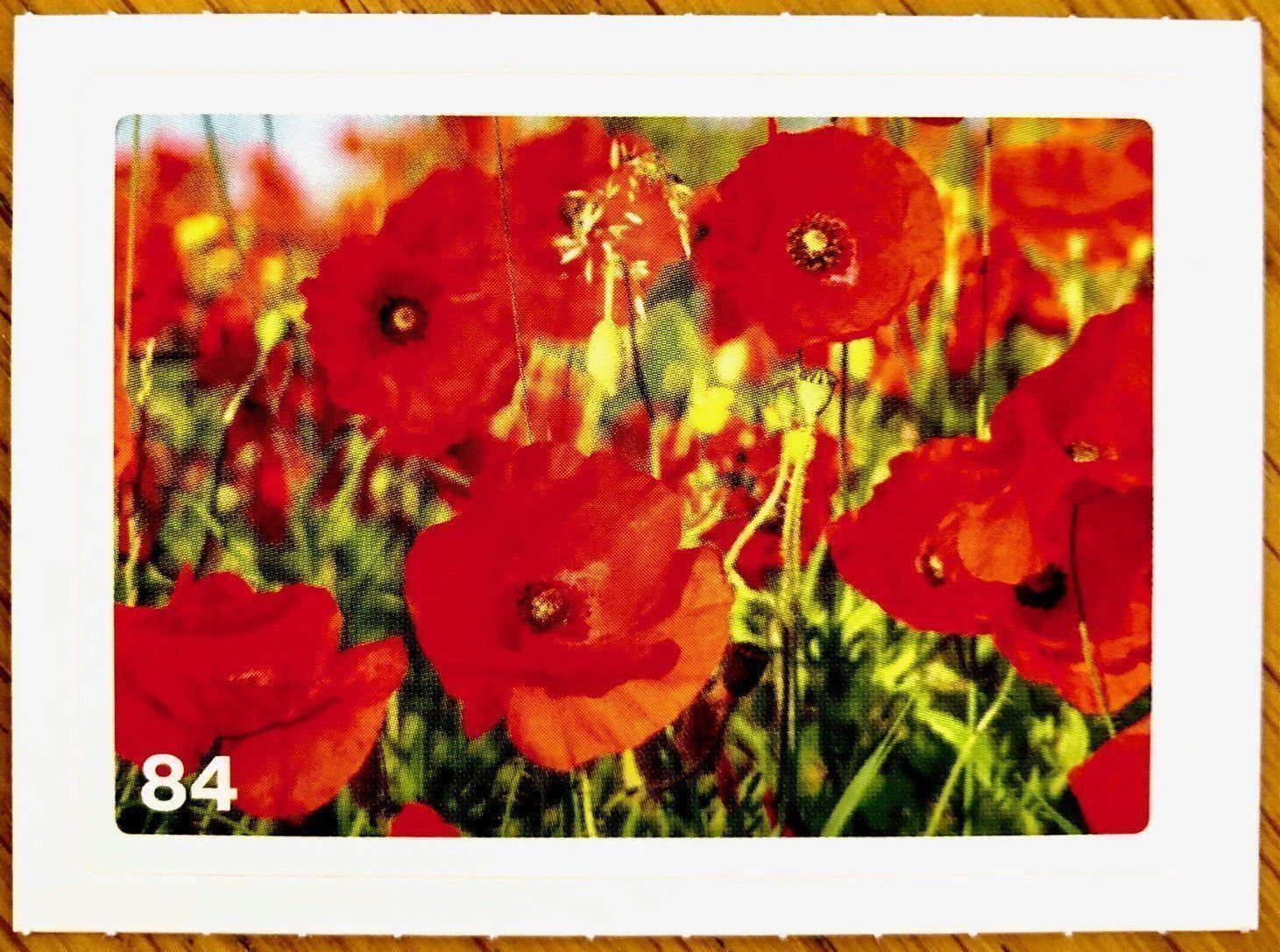 Migros Carte collezionabili: Migros Nature Detectives - Bild Nr. 84 – Nuovo (secondo la descrizione) da Oberrieden venduto da Zimmerberg10