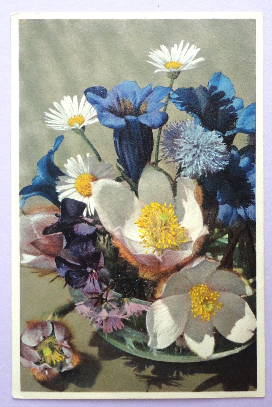 Cartoline postali: Fleurs printanières – Usato da Fétigny venduto da Billy2miny