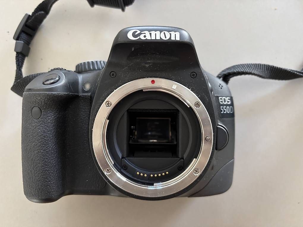 Canon Fotocamera: Canon EOS 550D Spiegelreflexkamera – Usato da Zürich venduto da z_e_r_a22 2