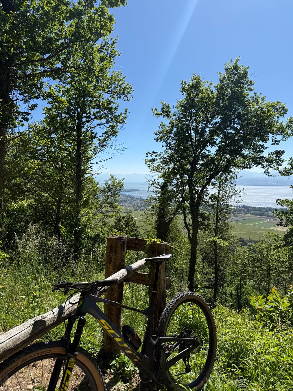 Scott Biciclette: MTB Scott Spark RC World CUP – Usato da Gilly venduto da Nrolaz 1