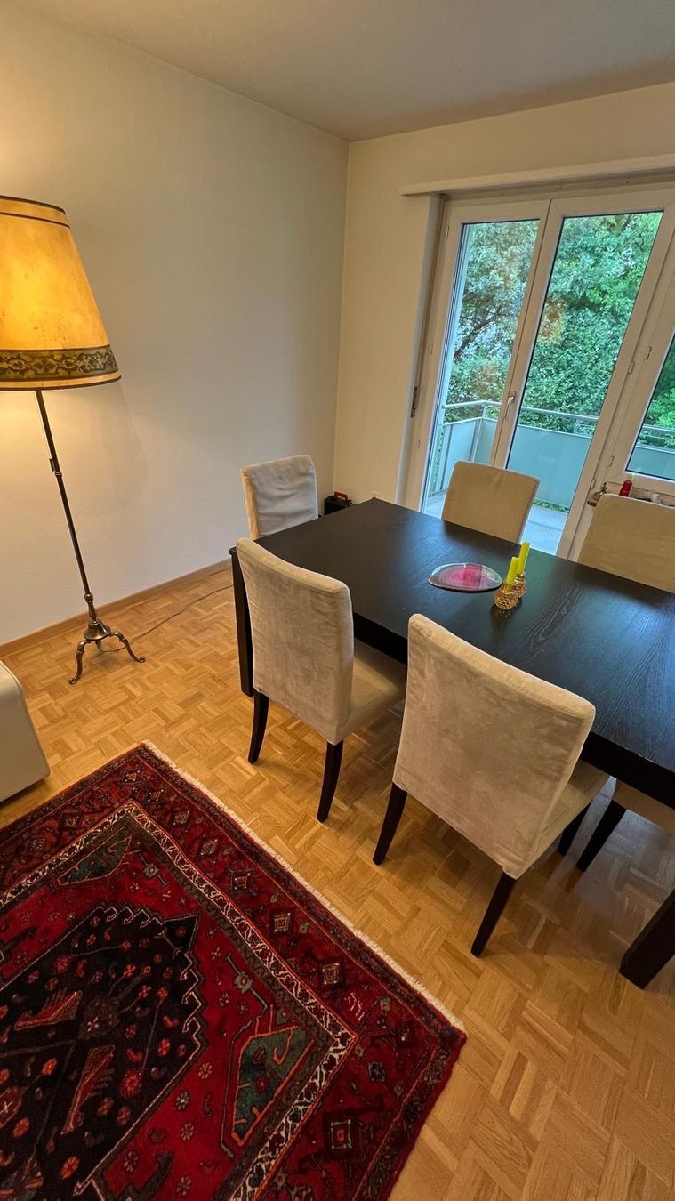 Ikea Tavoli: Ausziehtisch + 8 Stühle – Usato da Winterthur venduto da EleGiova 2
