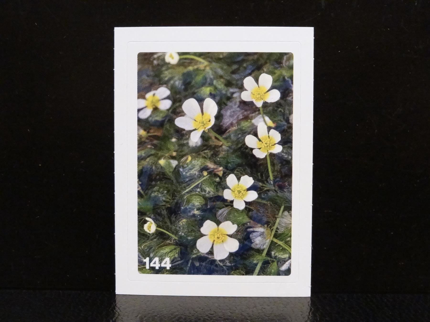 Migros Sammelbilder & Trading cards: MIGROS MANIA Nature Detectives Nr. 144 – Neu und originalverpackt aus Kerzers von zimmergruen
