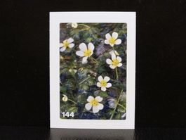 MIGROS MANIA Nature Detectives Nr. 144