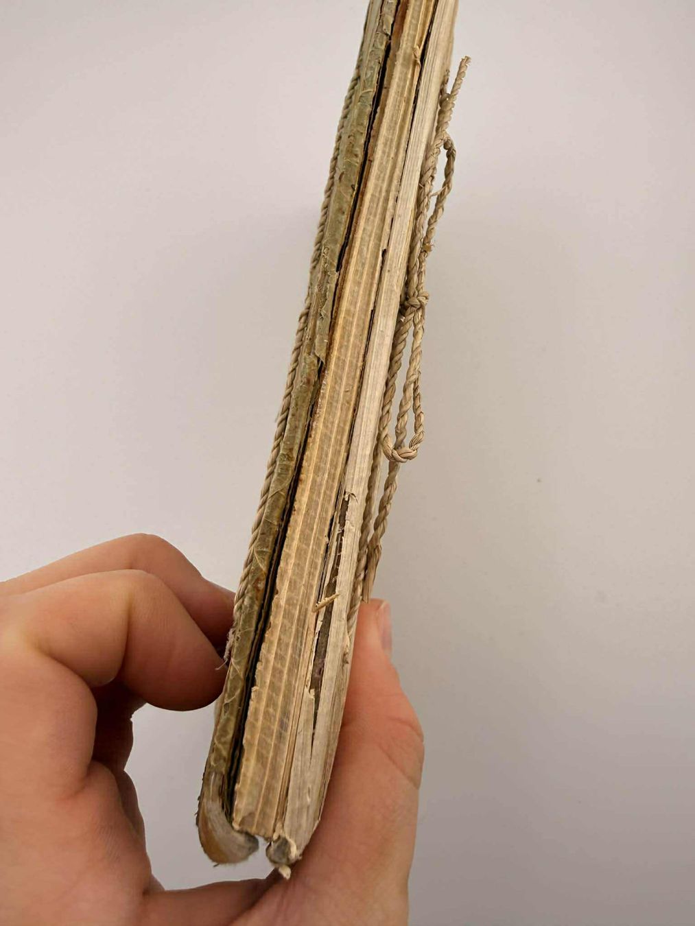 Bücher: Vintage Pflanzen-Dekor✅ – Neu (gemäss Beschreibung) aus Riehen von edu_92w7 9