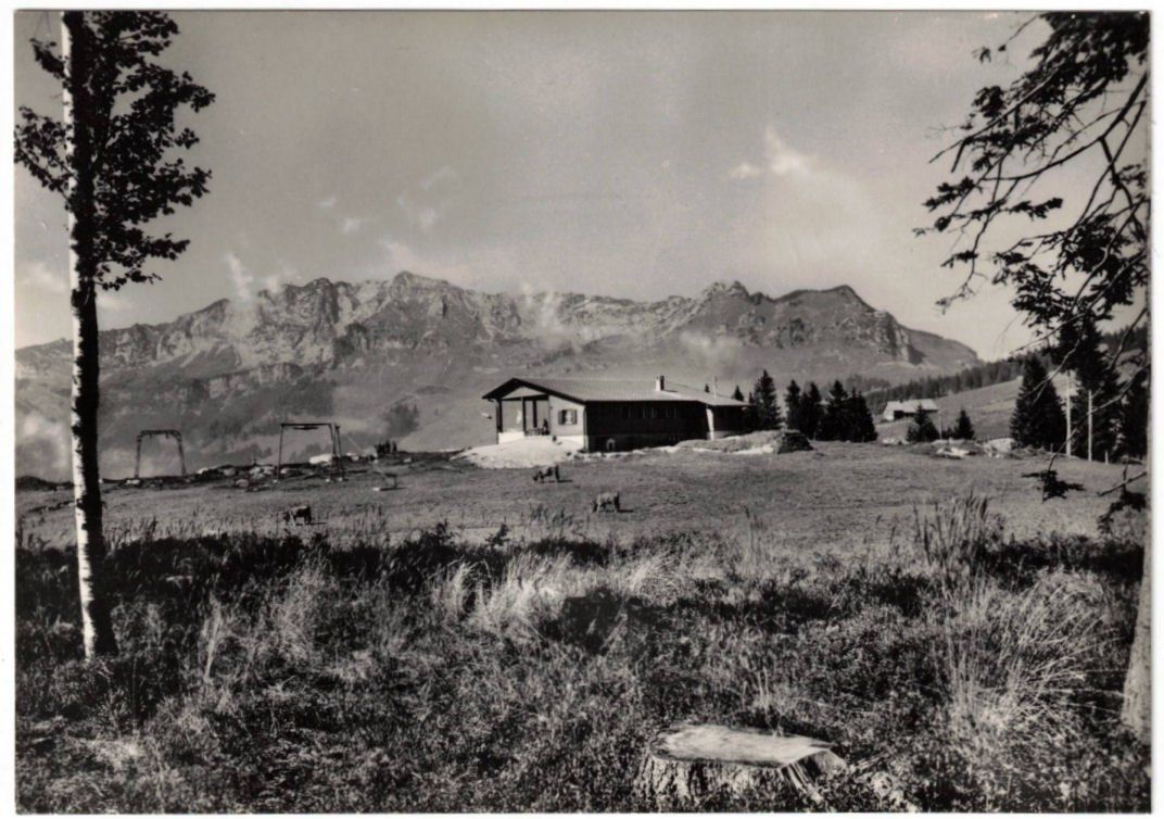 Cartoline postali: Amden - Skilift Leistkamm – Usato da Binningen venduto da Mountainrider