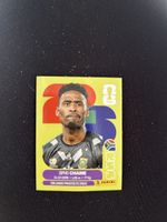 Panini RSA 3