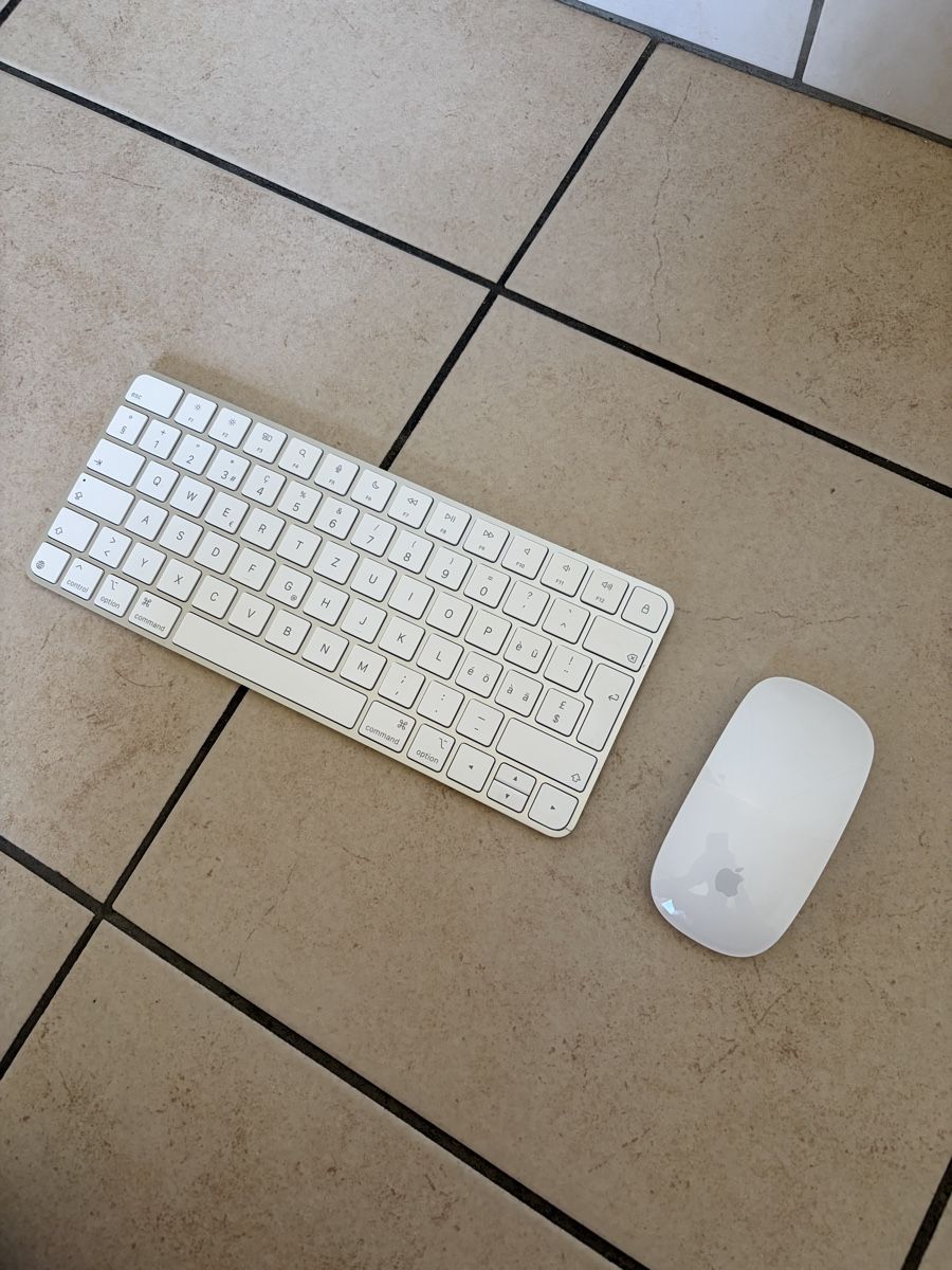 Apple Claviers: Apple Keyboard and Mouse  – D'occasion à Lausanne par LePetitBrocanteur