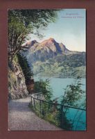 BÜRGENSTOCK - Felsenweg - Pilatus