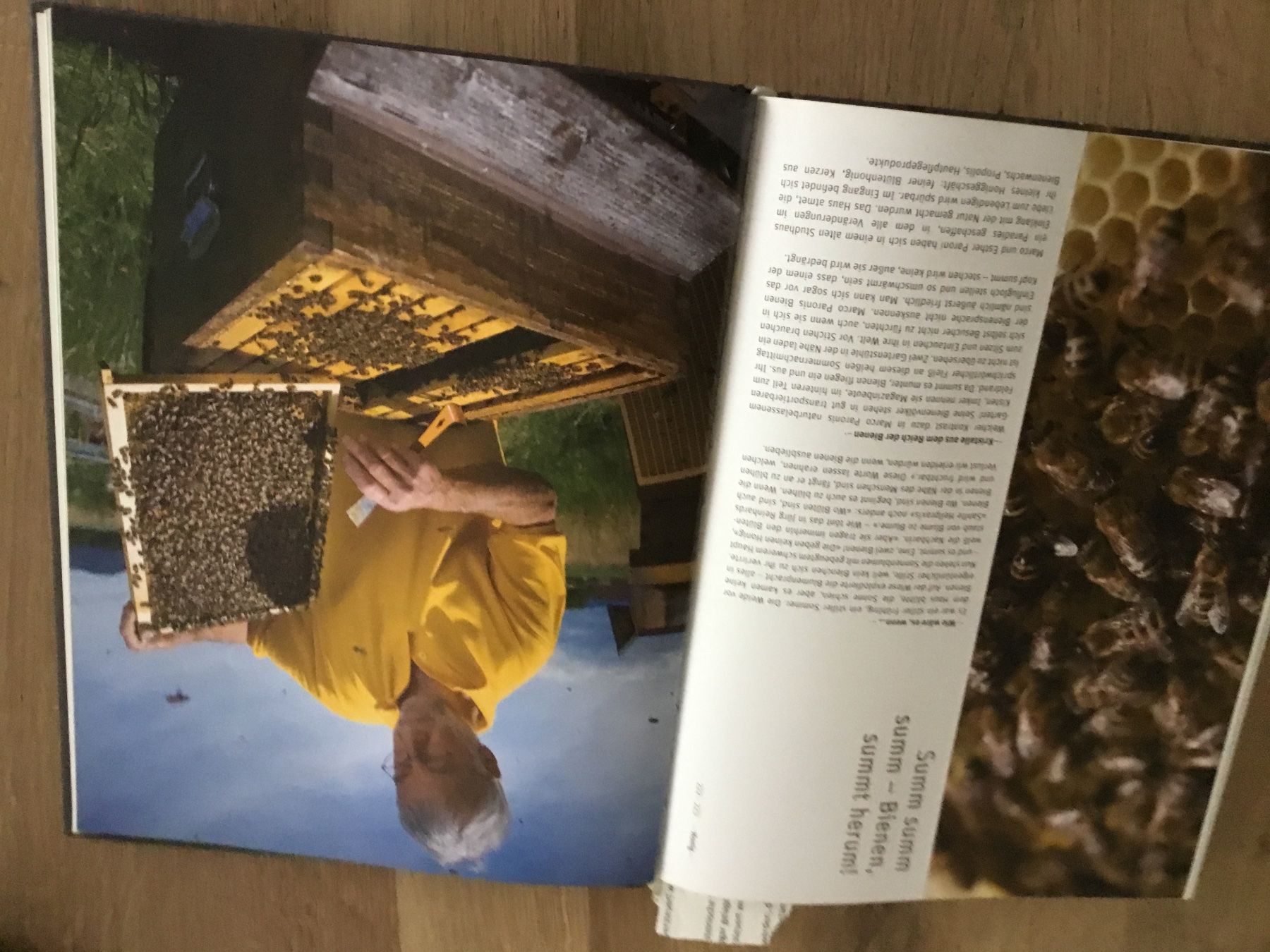 Bücher: Erica Bänziger  Bio Küche – Gebraucht aus Triesen von Trisuna 7