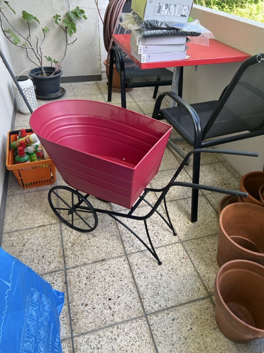 Schubkarren: Dekorative Schubkarre – Gebraucht aus Hinwil von Michelle.C