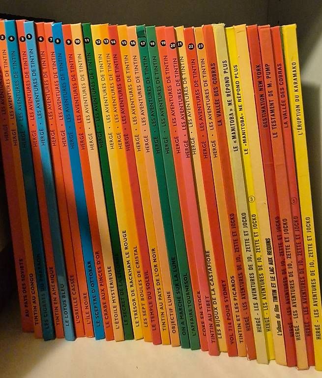 Fumetti: Collection complète BD Tintin Hergé – Usato da Bercher venduto da Dusudouest