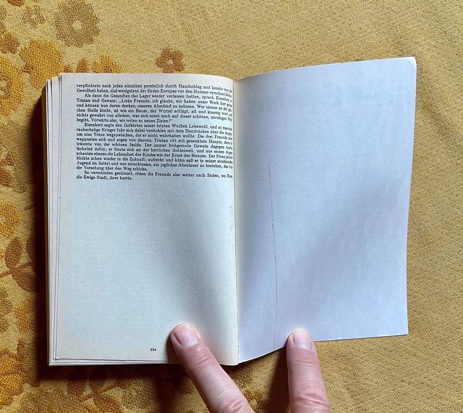 Libri: Taschenbuch Prinz Eisenherz – Usato da Endingen venduto da nathan05 8