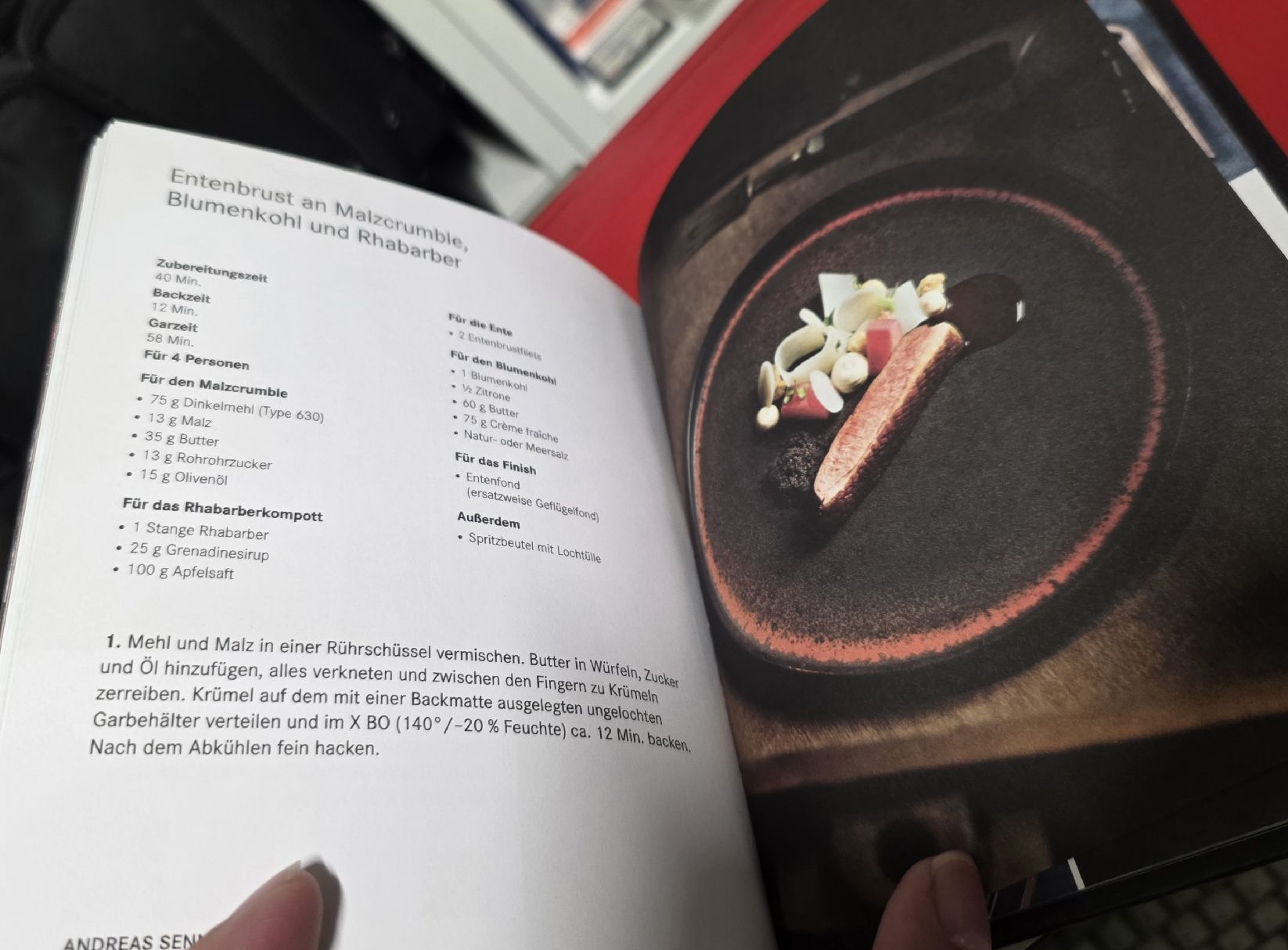 Libri: Dampfbacken in Perfektion - Bora (BUCH) – Usato da Reinach BL venduto da _MasterK_ 3