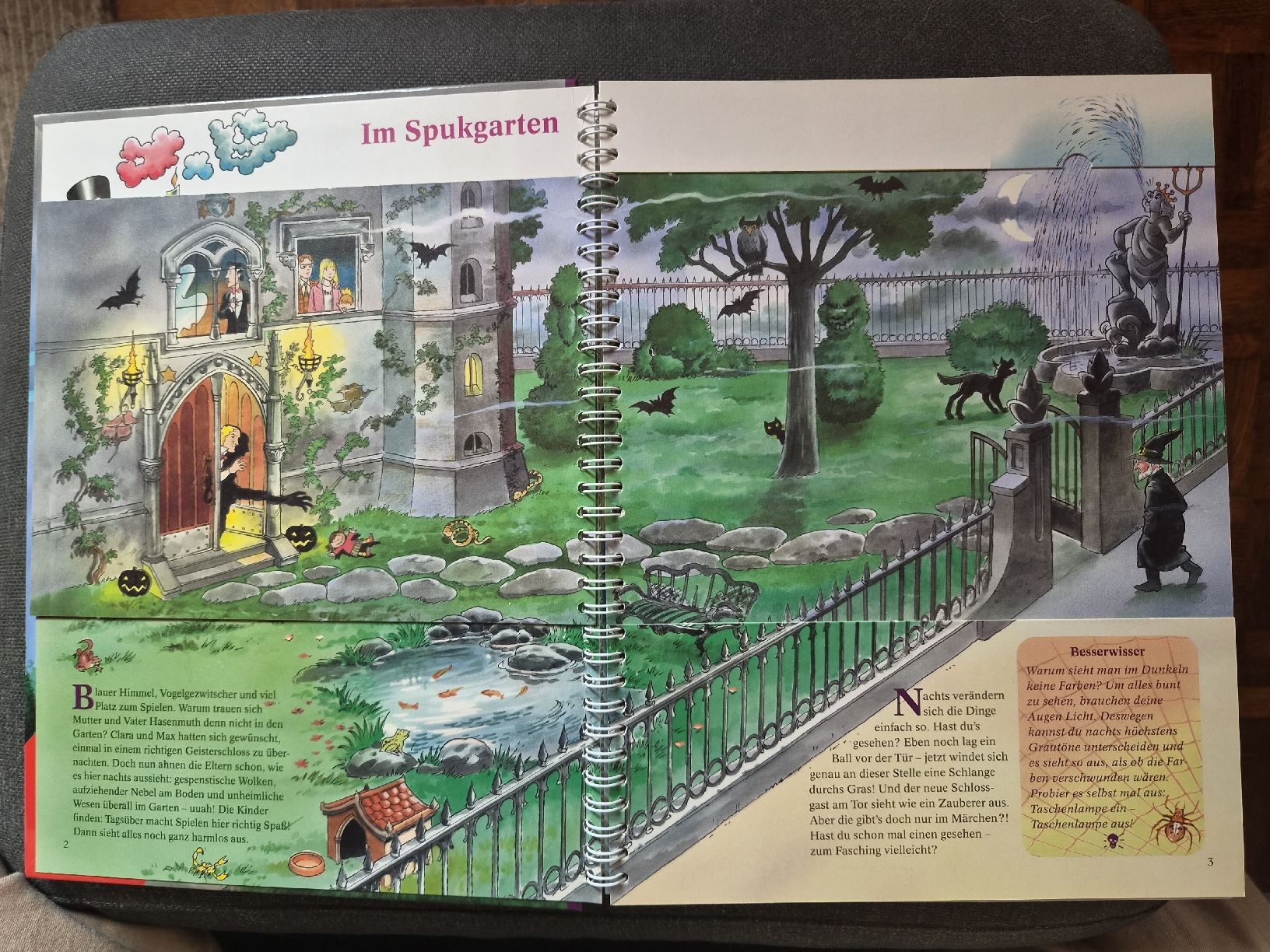 Bücher: Im Geisterschloss – Neu (gemäss Beschreibung) aus Riedikon von cor_7jcd 3