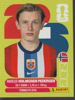 FIFA WORLD CUP 2026 Panini Sticker NOR 6 M. HOLMGREN PEDERSE