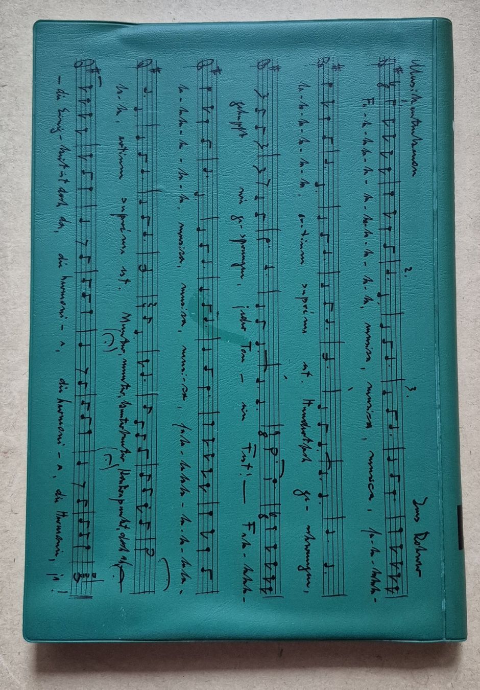 Libri: Sing Buch / Lieder Buch – Usato da Adliswil venduto da cha_fq9f 1