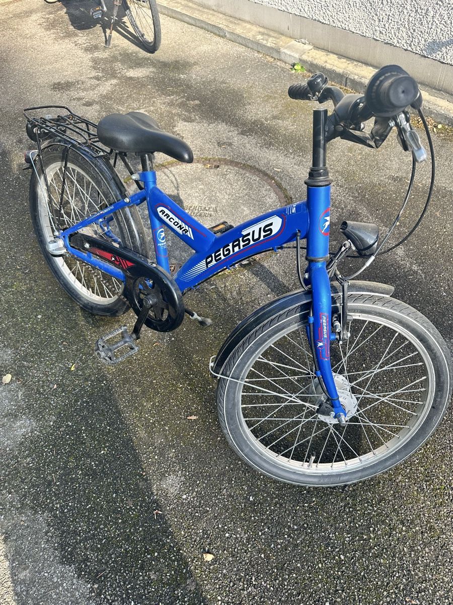 Biciclette: Pegasus Arcona Kindervelo, blau,  20 Zoll – Usato da Luzern venduto da linacolada1