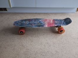 Penny Board Skateboard
