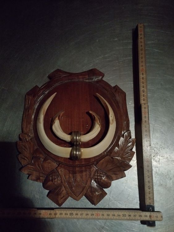 Januel Eichenblatt-Tafel Für Wildschweinzähne - Dekorative Trophäen-Befestigung In Antik-Bronze