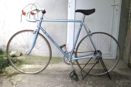 Rennvelo Diana 12 Gänge