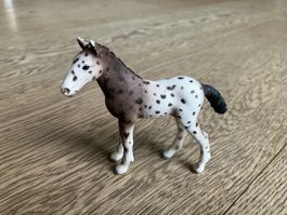 Schleich-Fohlen 