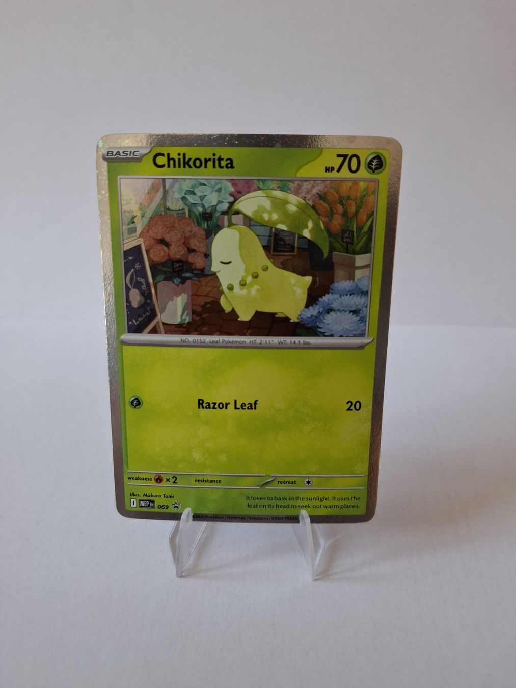 Pokémon Carte collezionabili: Pokemon - Chikorita - MEG - 069 - EN – Nuovo (secondo la descrizione) da Trub venduto da PM94