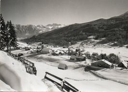 Wildhaus