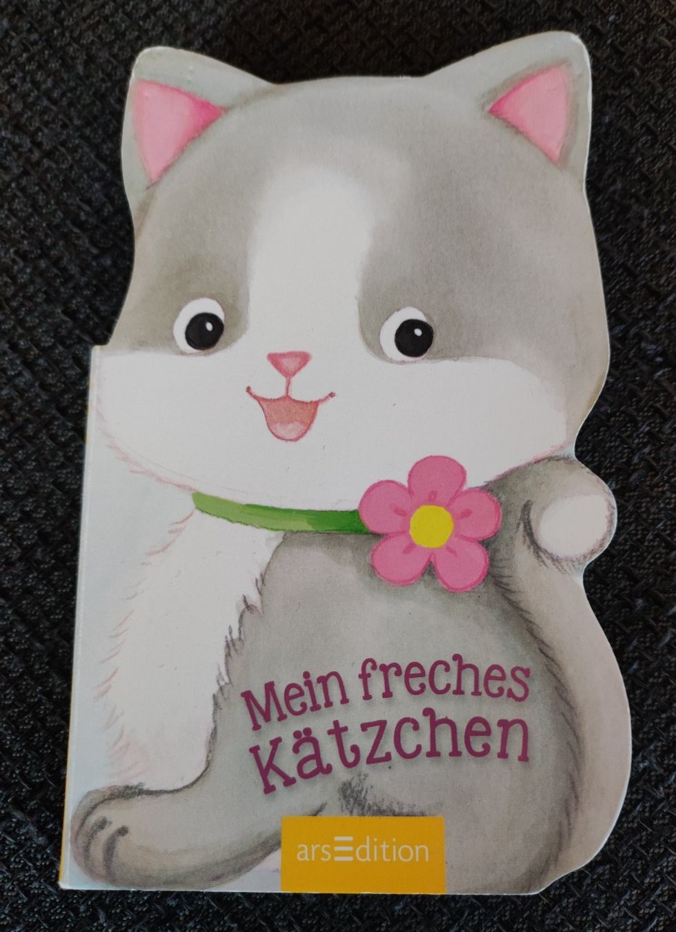 Libri: Kinderbuch – Usato da Lanzenneunforn venduto da Fabi281