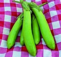 AUBERGINES THAI GREEN ! RARE ! 5g