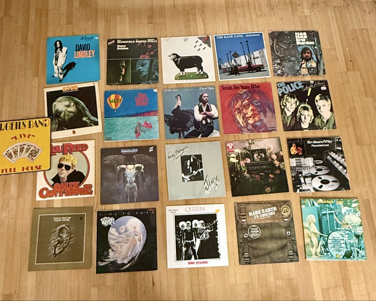 Dischi in vinile: Grosse Schallplatten-Sammlung, Rock & Blues – Usato da Stein am Rhein venduto da Tags