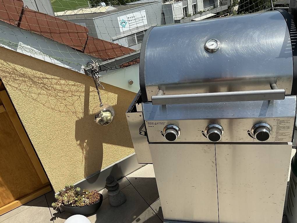 Griglie: Gasgrill – Usato da Fahrwangen venduto da chilipablo 3
